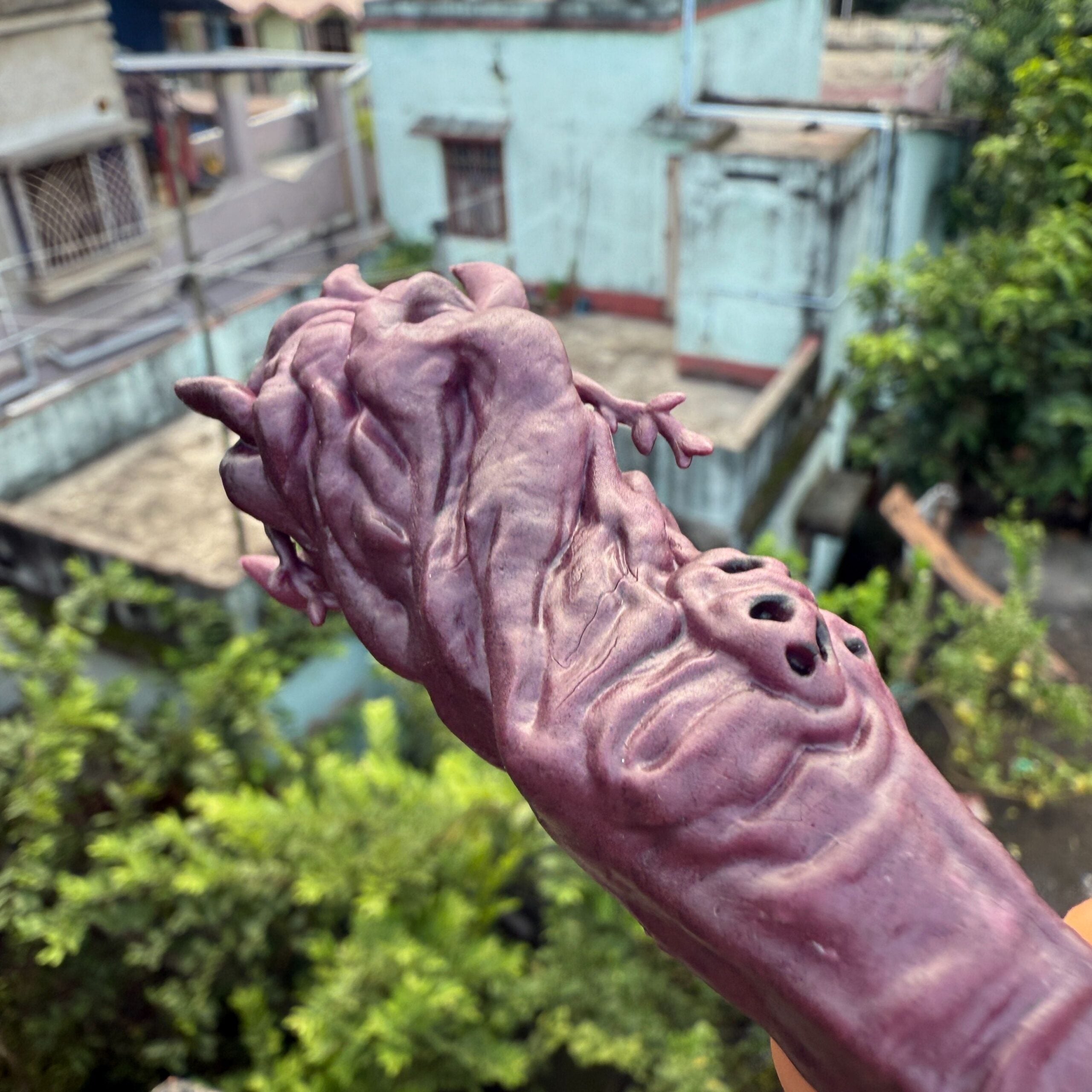Ryoman Sukuna Cursed Finger || JUJUTSU KAISEN